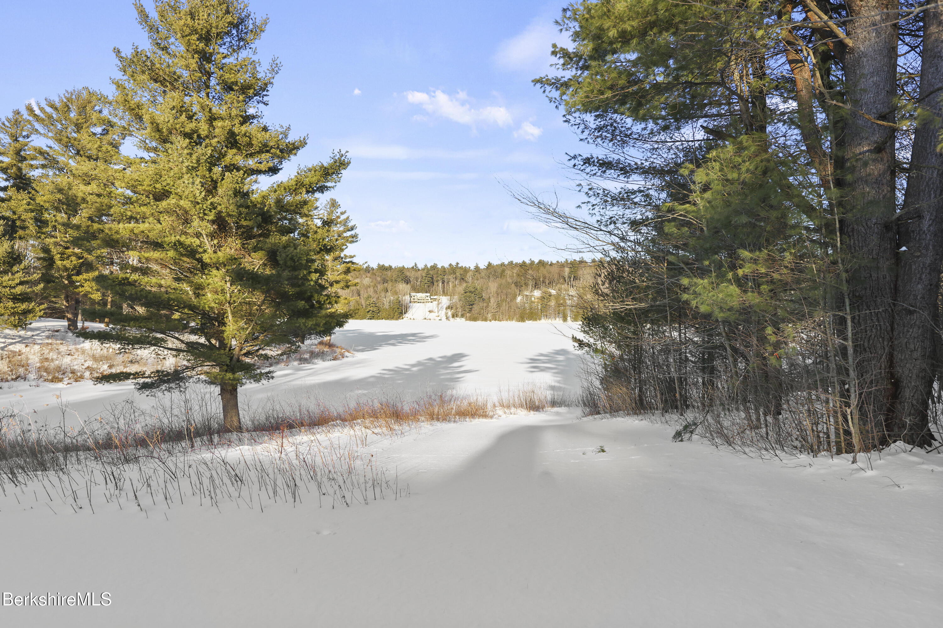 201 Stratford Road New Marlborough, MA 01259 - Photo 64 of 77 a view of a yard with trees in the background