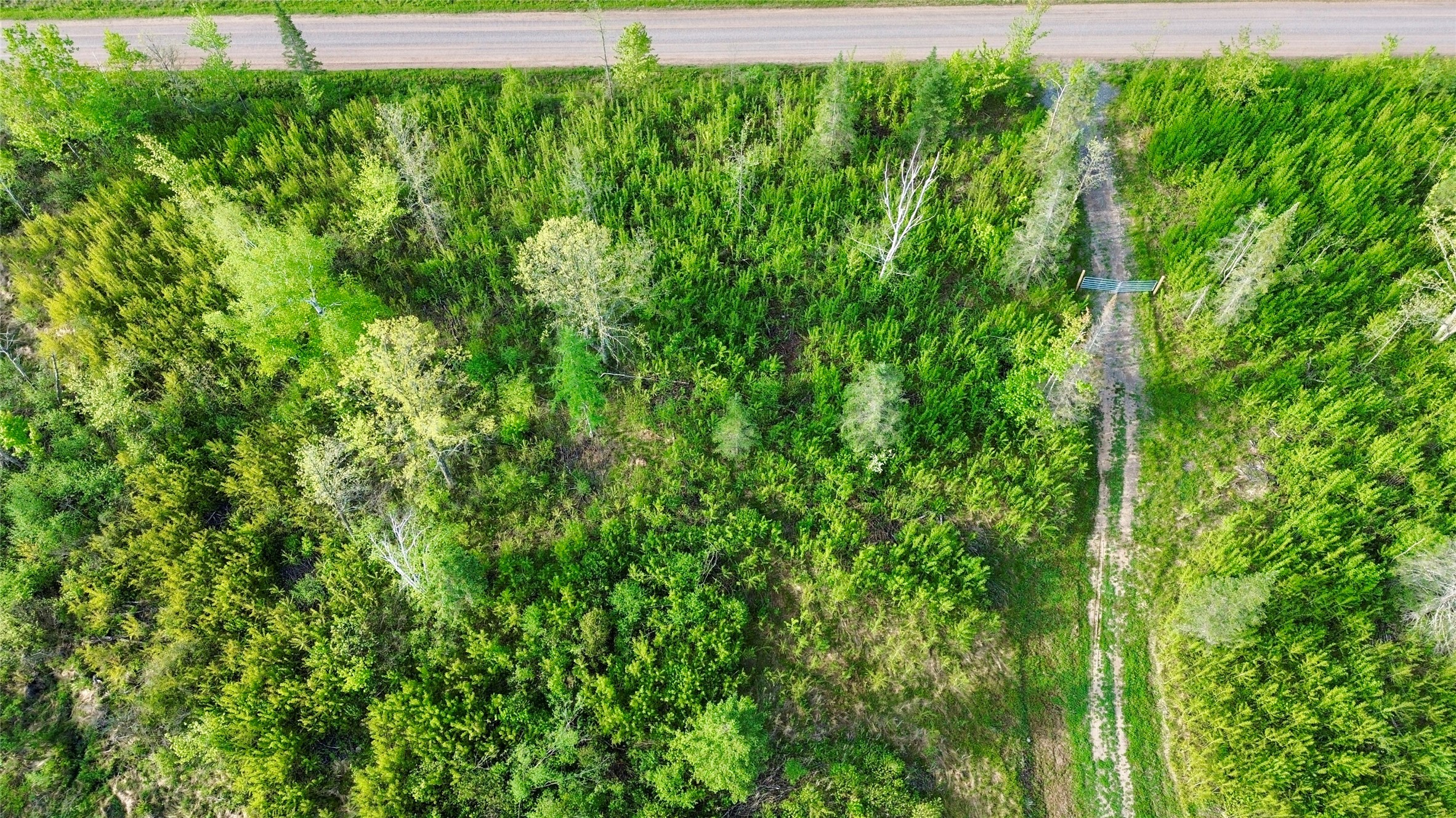 Lot 2 Girod Road Ladysmith, WI 54848 - Photo 15 of 26