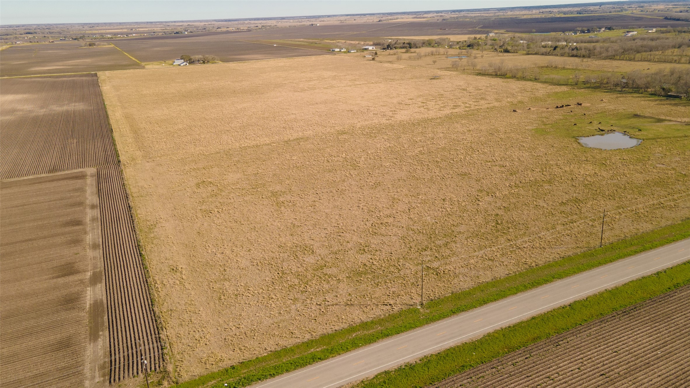 3 Fm 1462 Road Damon, TX 77430 - Photo 3 of 11 Gallery Image 3