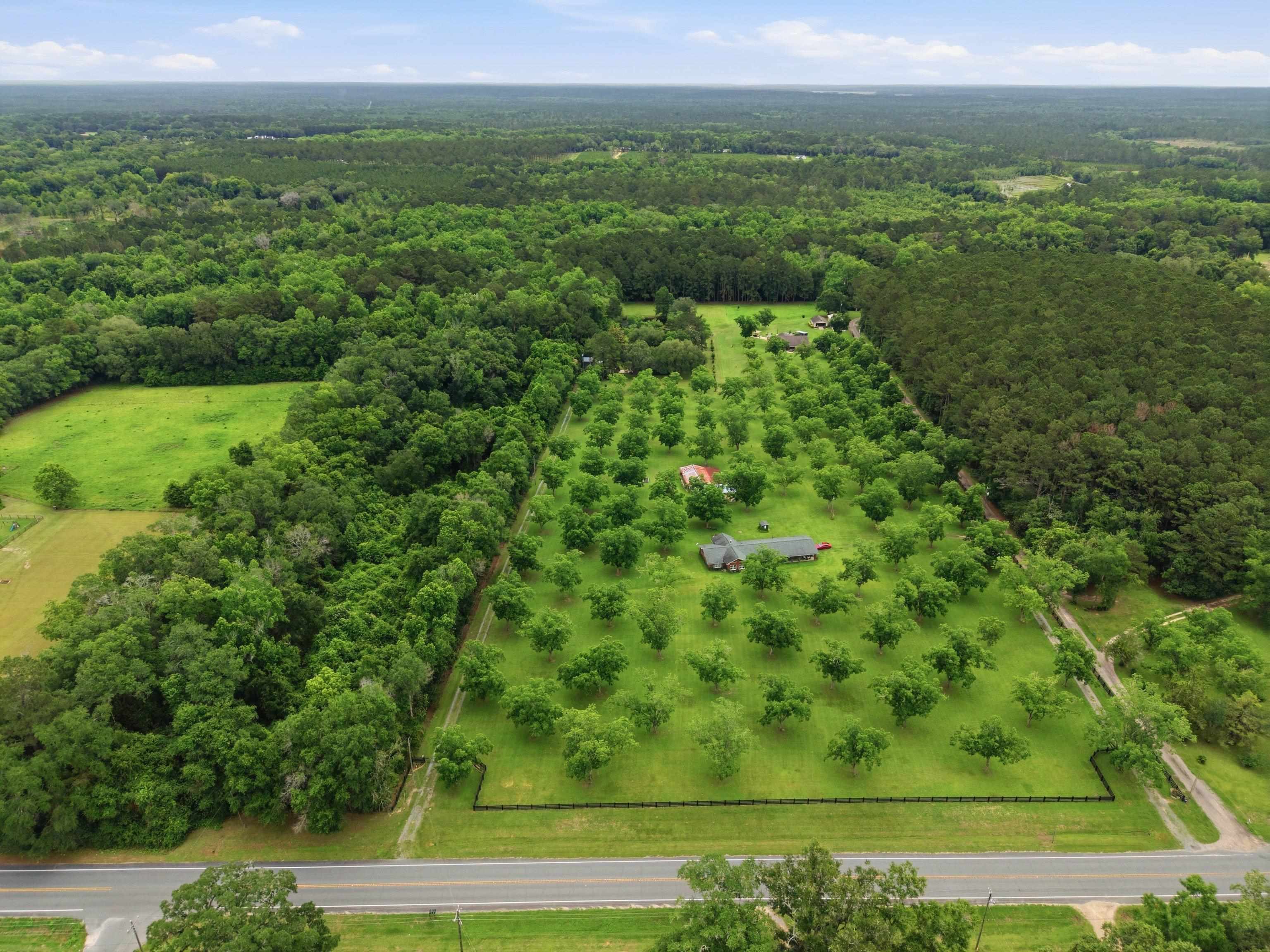 3906 Concord Road Havana, FL 32333 - Photo 52 of 59