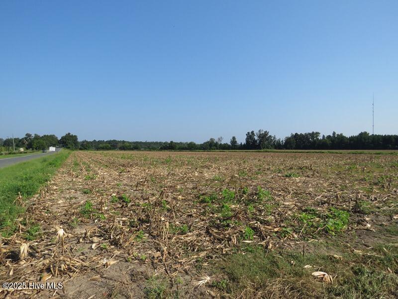 Tbd Old Johns Road Laurinburg, NC 28352 - Photo 19 of 23 IMG_8288