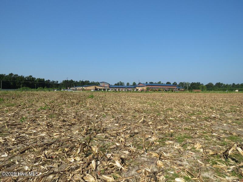 Tbd Old Johns Road Laurinburg, NC 28352 - Photo 20 of 23 IMG_8290