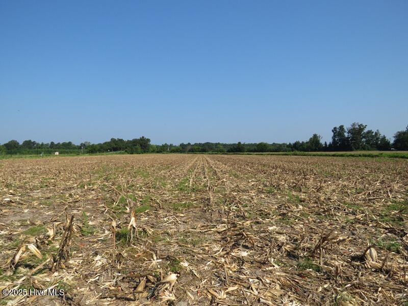 Tbd Old Johns Road Laurinburg, NC 28352 - Photo 21 of 23 IMG_8291