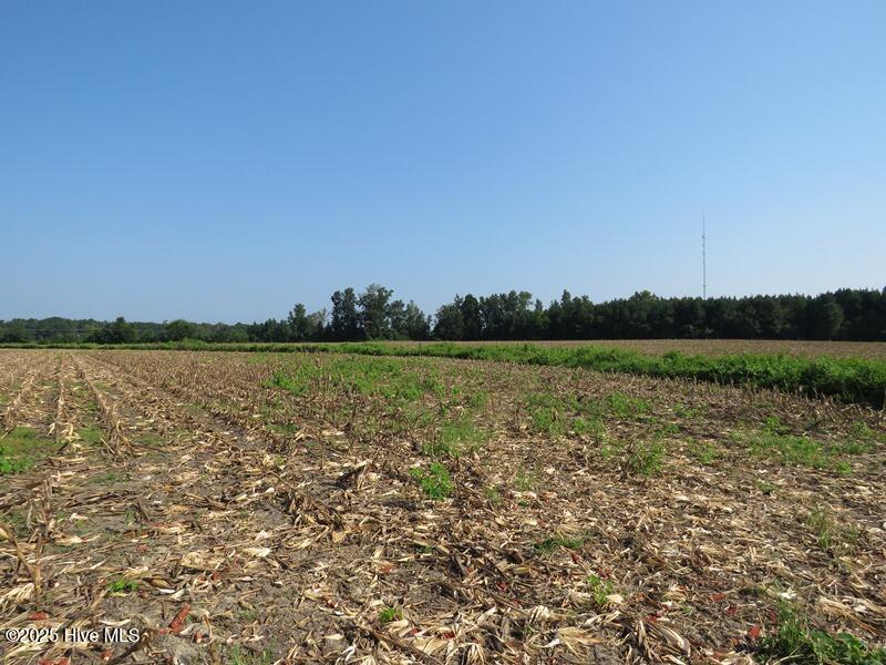 Tbd Old Johns Road Laurinburg, NC 28352 - Photo 22 of 23 IMG_8292
