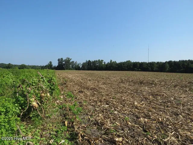 $175,000 | Tbd Old Johns Road, Laurinburg, NC 28352