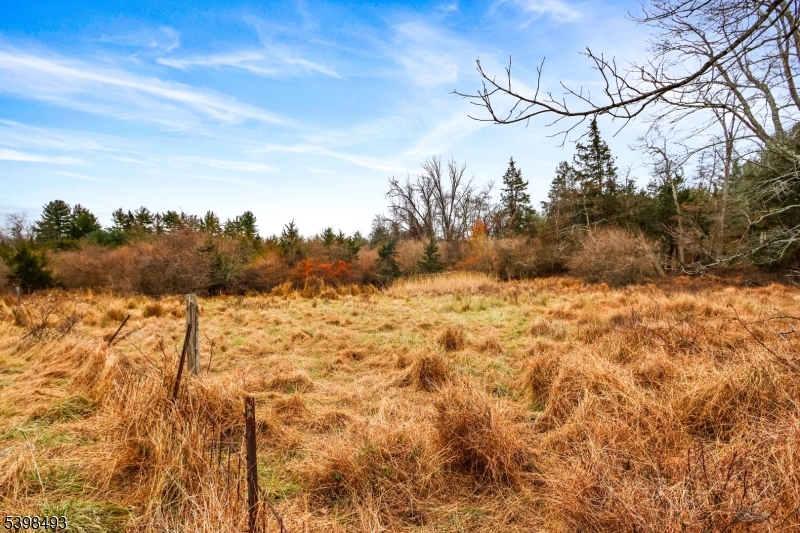 11 Springtown Road Whitehouse Station, NJ 08889 - Photo 11 of 13