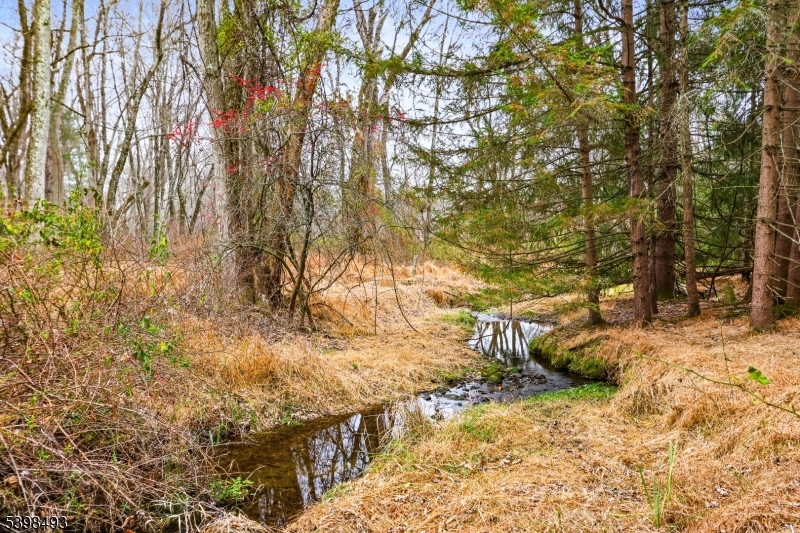 11 Springtown Road Whitehouse Station, NJ 08889 - Photo 13 of 13
