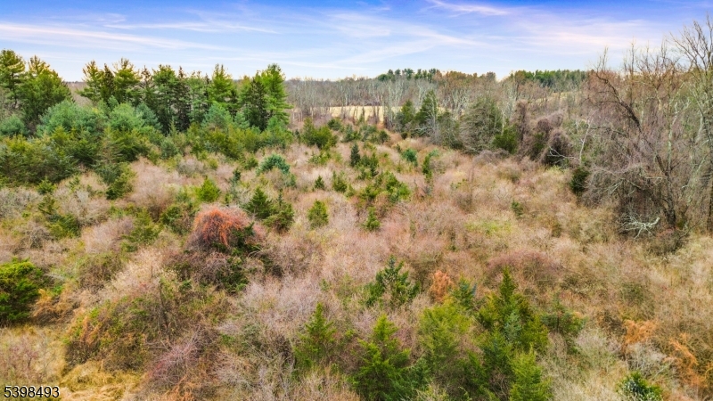 11 Springtown Road Whitehouse Station, NJ 08889 - Photo 4 of 13