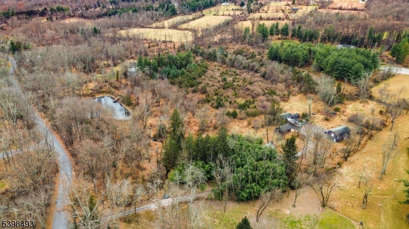 11 Springtown Road Whitehouse Station, NJ 08889 - Photo 7 of 13