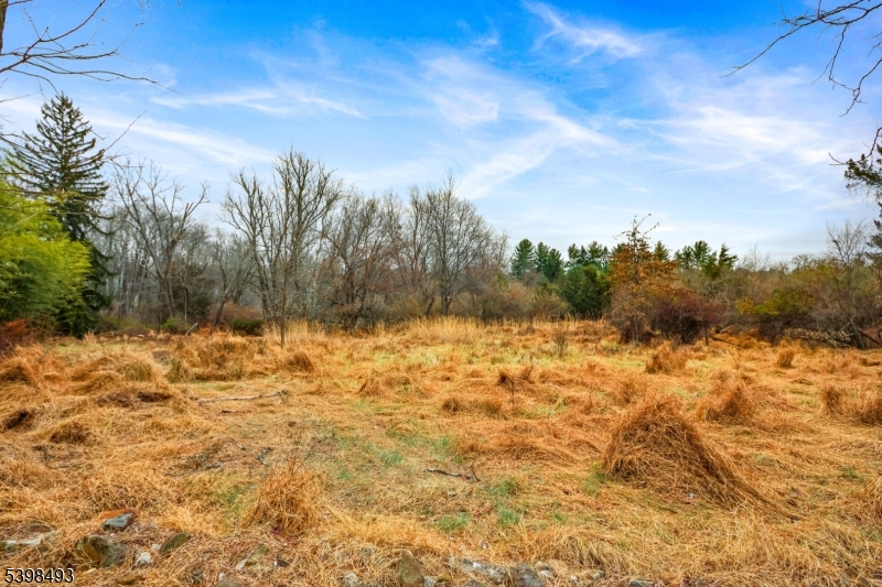 11 Springtown Road Whitehouse Station, NJ 08889 - Photo 9 of 13