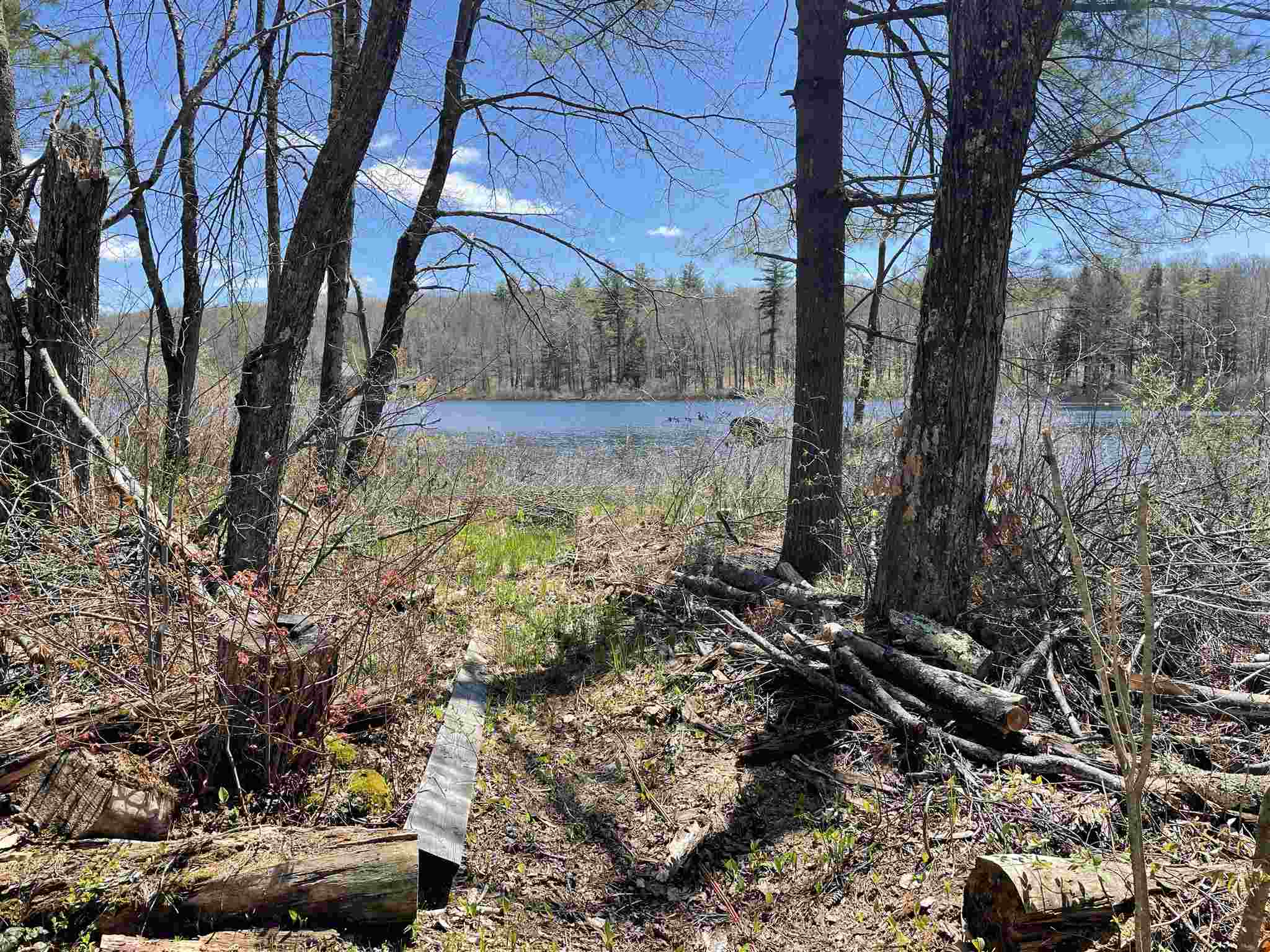 109 Newell Pond Road Alstead, NH 03602 - Photo 4 of 17
