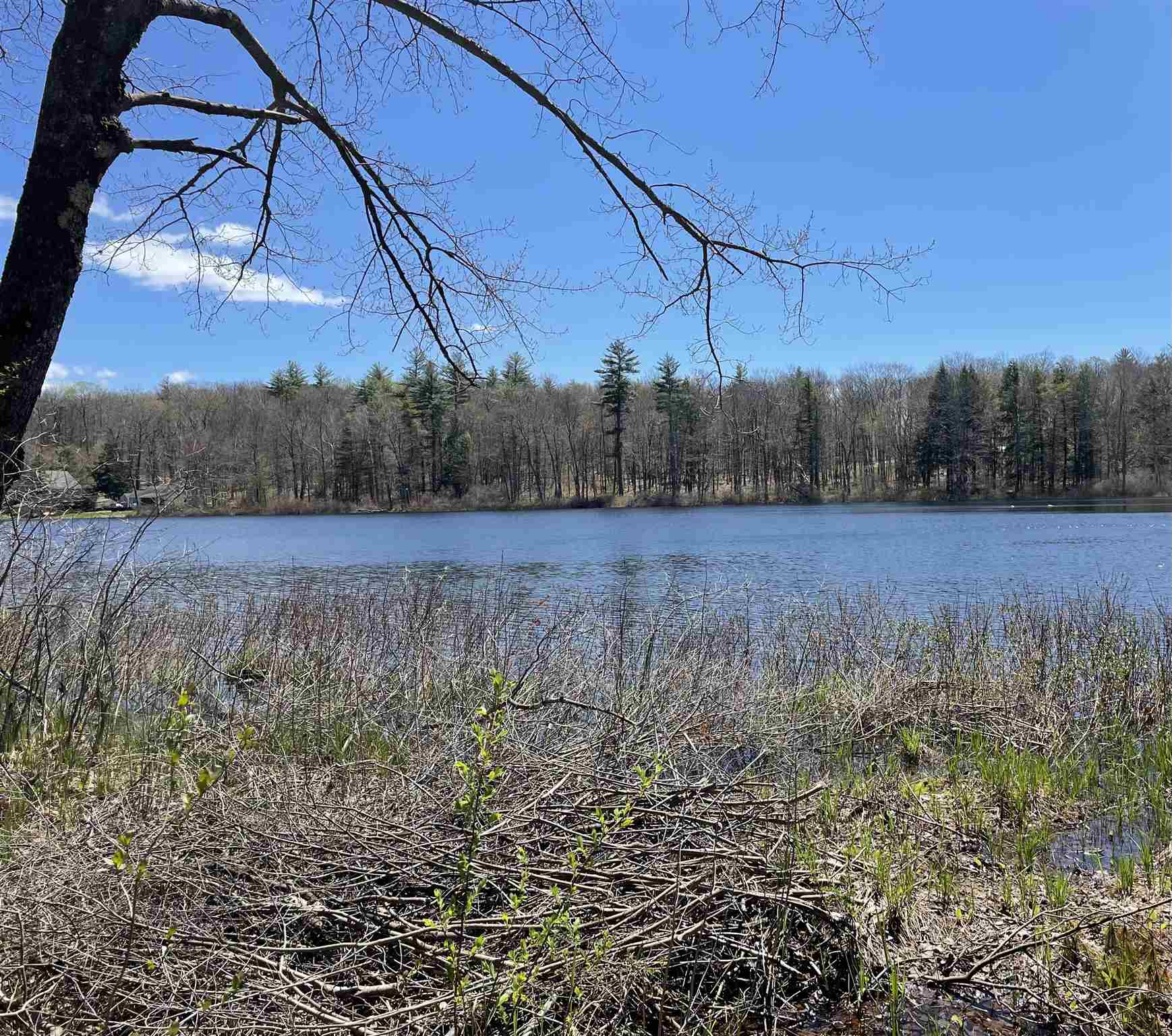 109 Newell Pond Road Alstead, NH 03602 - Photo 5 of 17