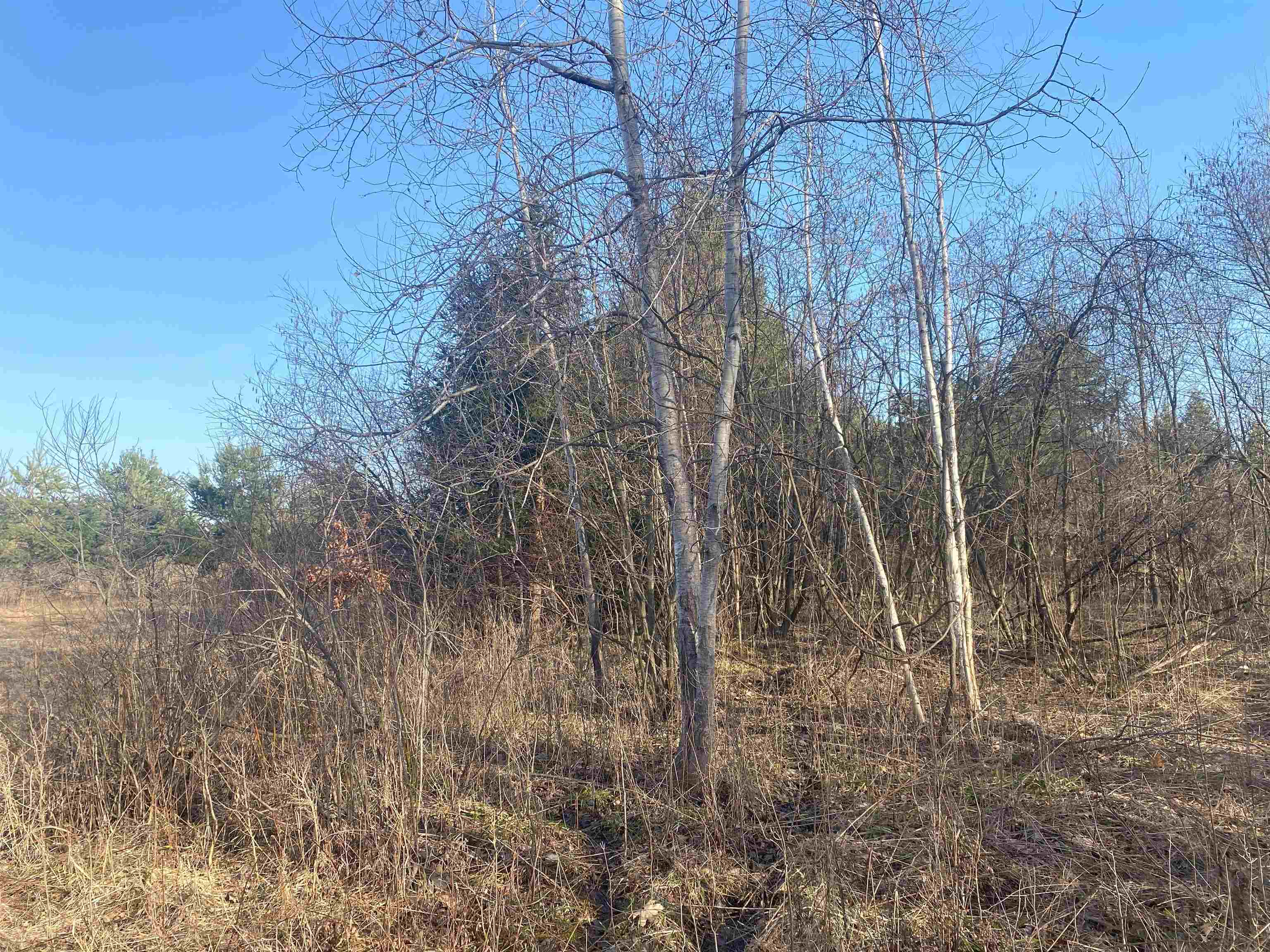 Tbd East Jordan Road Mount Pleasant, MI 48858 - Photo 10 of 15