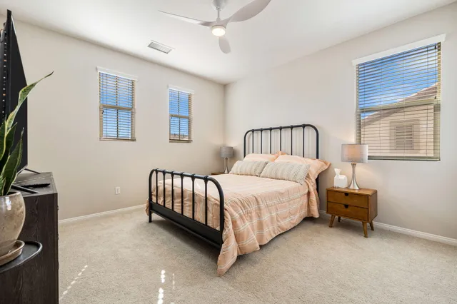 a view of a backyard with plants and a garden