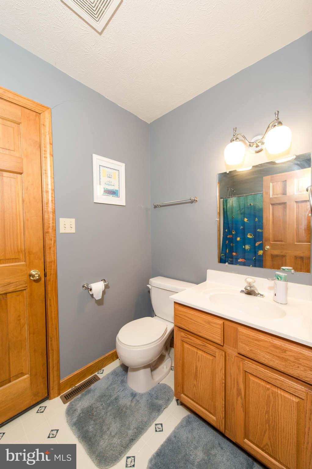 227 Slicers Mill Road Rising Sun, MD 21911 - Photo 18 of 30 Bath