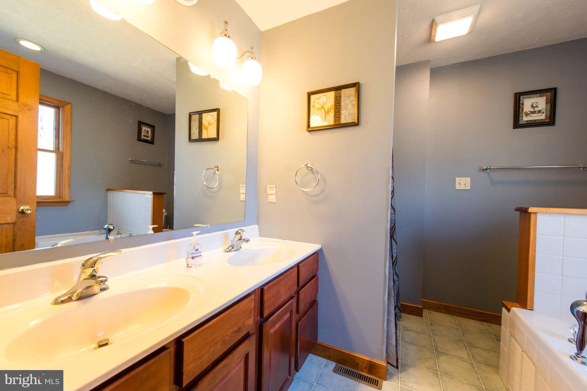 227 Slicers Mill Road Rising Sun, MD 21911 - Photo 21 of 30 Bath (Master)