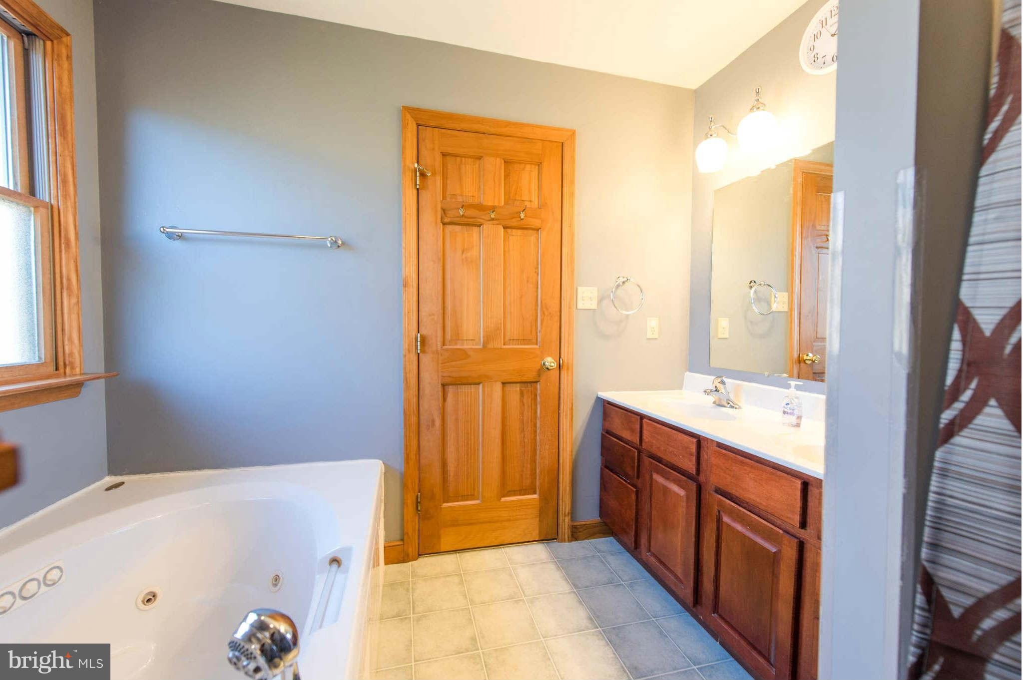 227 Slicers Mill Road Rising Sun, MD 21911 - Photo 22 of 30 Bath (Master)