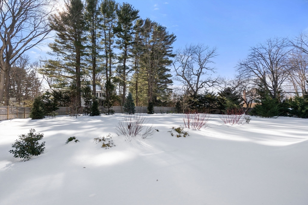 620 High Rock Street Needham, MA 02492 - Photo 39 of 42
