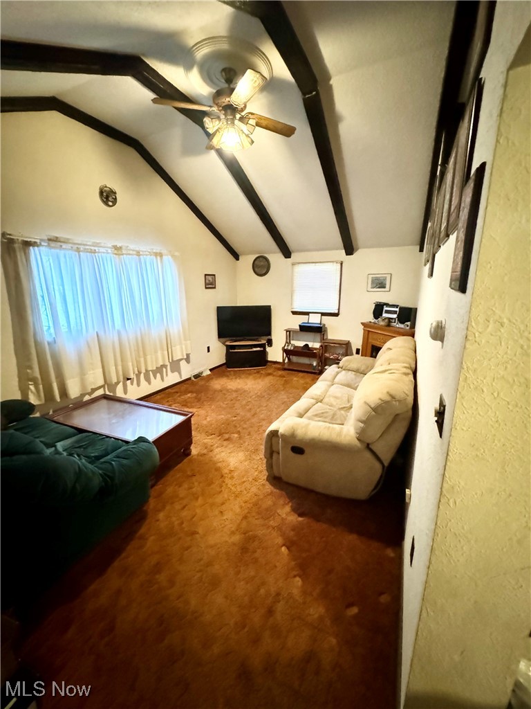 1457 St Johns Road Colliers, WV 26035 - Photo 3 of 38 Living room featuring carpet, and ceiling fan