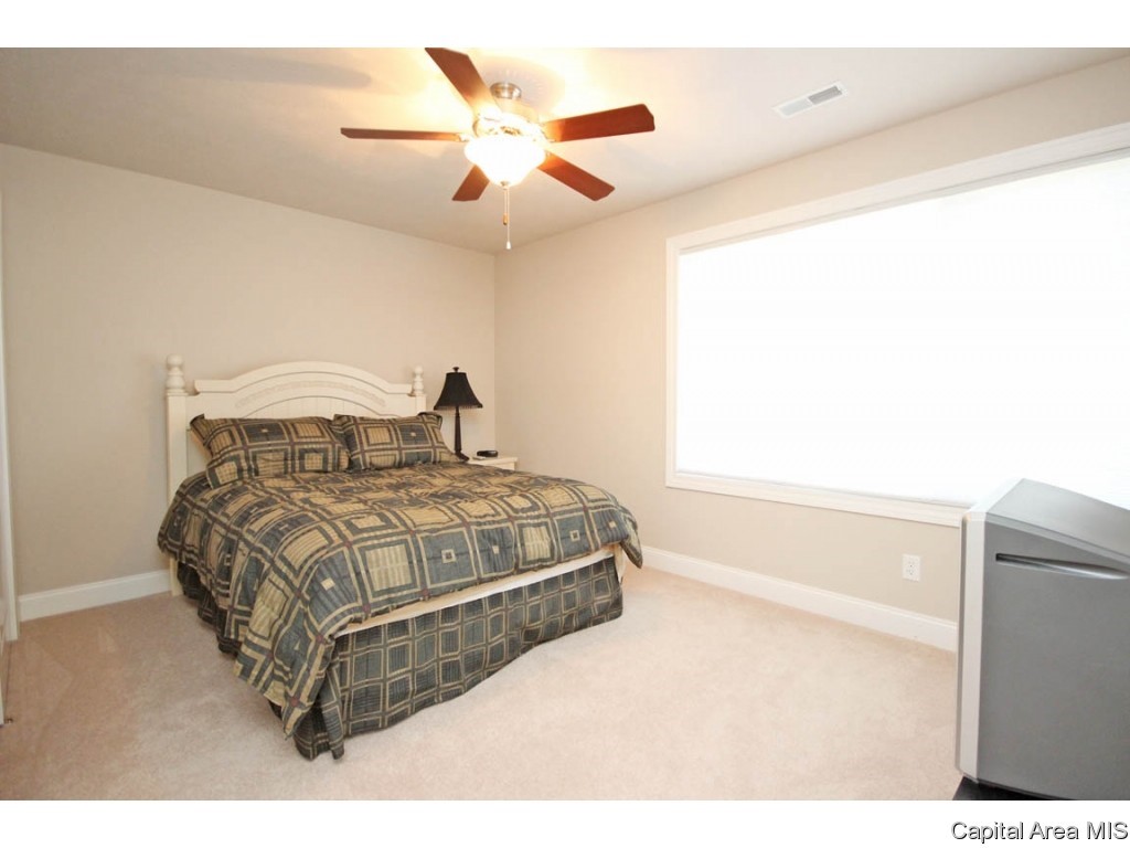 9 Waters Edge Boulevard, Unit 12 Springfield, IL 62712 - Photo 22 of 35 Gallery Image 22