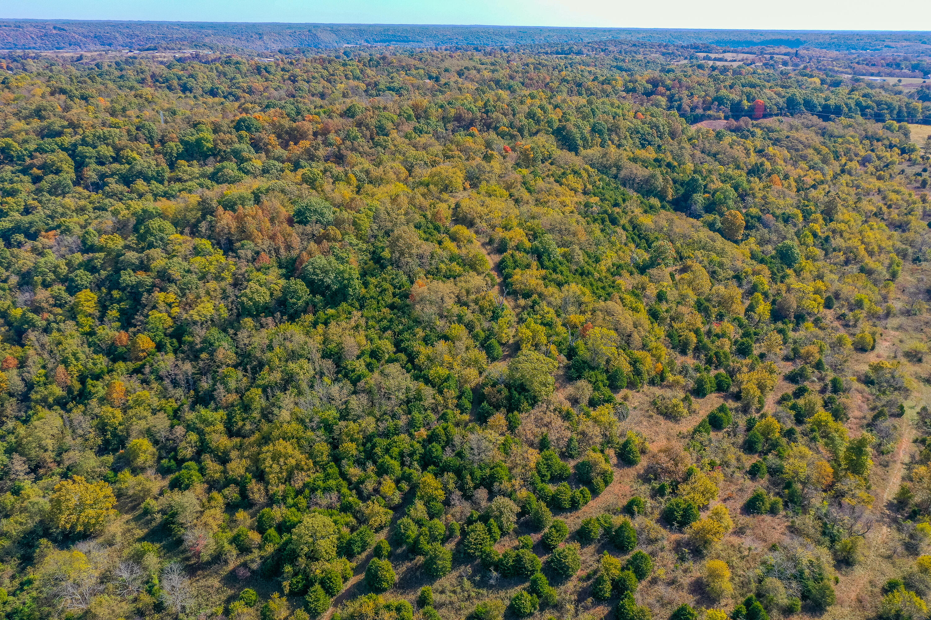 2816 Steele Branch Road Frankfort, KY 40601 - Photo 89 of 92 2-11