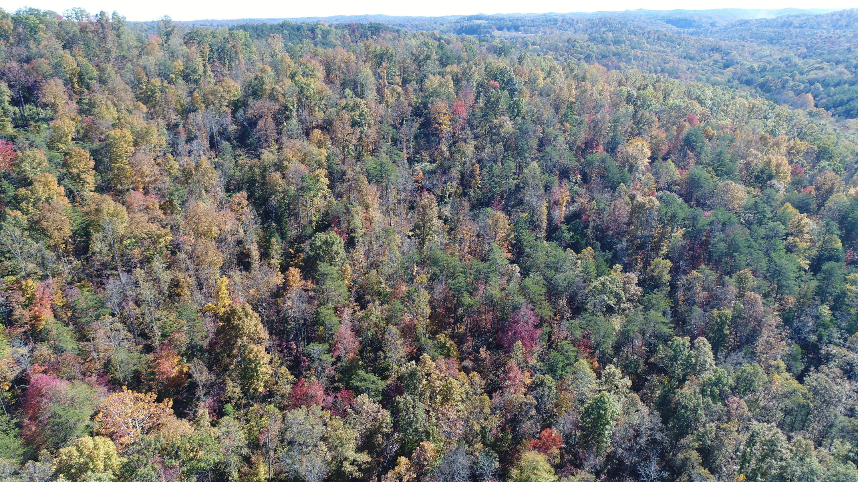501 Big Sink Road Somerset, KY 42503 - Photo 14 of 38 DJI_0937
