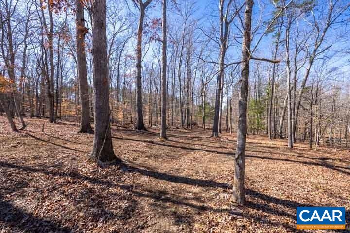 5880 Mechunk Ridge Lane Keswick, VA 22947 - Photo 38 of 38 a backyard of a house with lots of green space