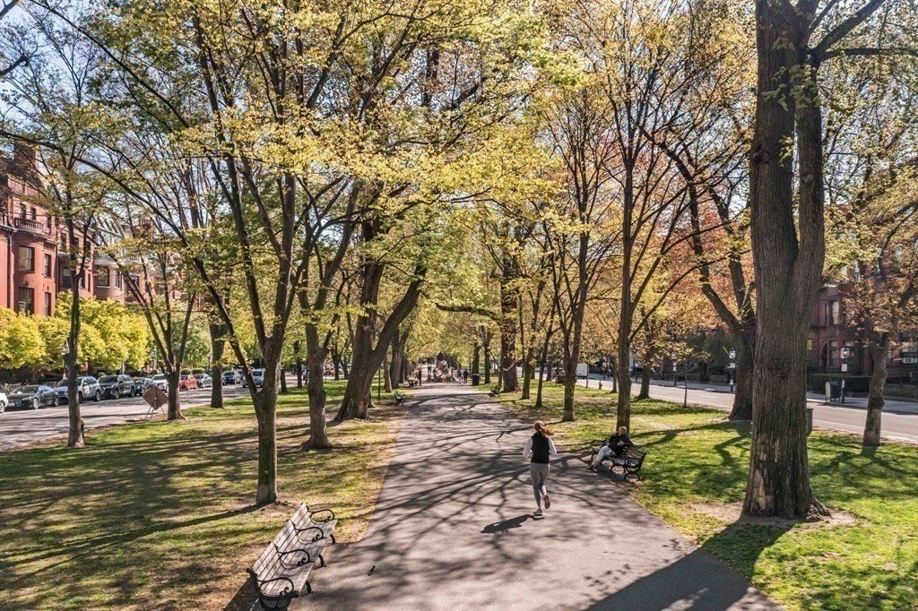 226 Commonwealth Avenue, Unit 1 Boston, MA 02116 - Photo 17 of 17 a view of park space with trees