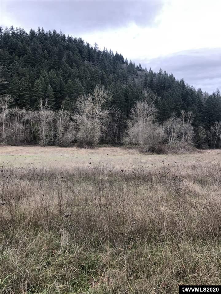 0 Berlin Road Lebanon, OR 97355 - Photo 5 of 6 Gallery Image 5