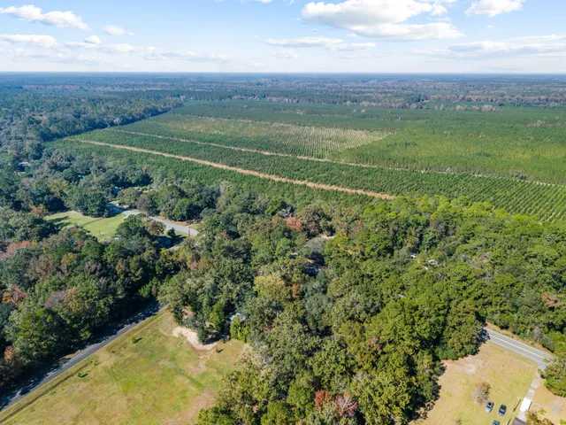 $599,000 | 7275 Highway 162, Hollywood, SC 29449