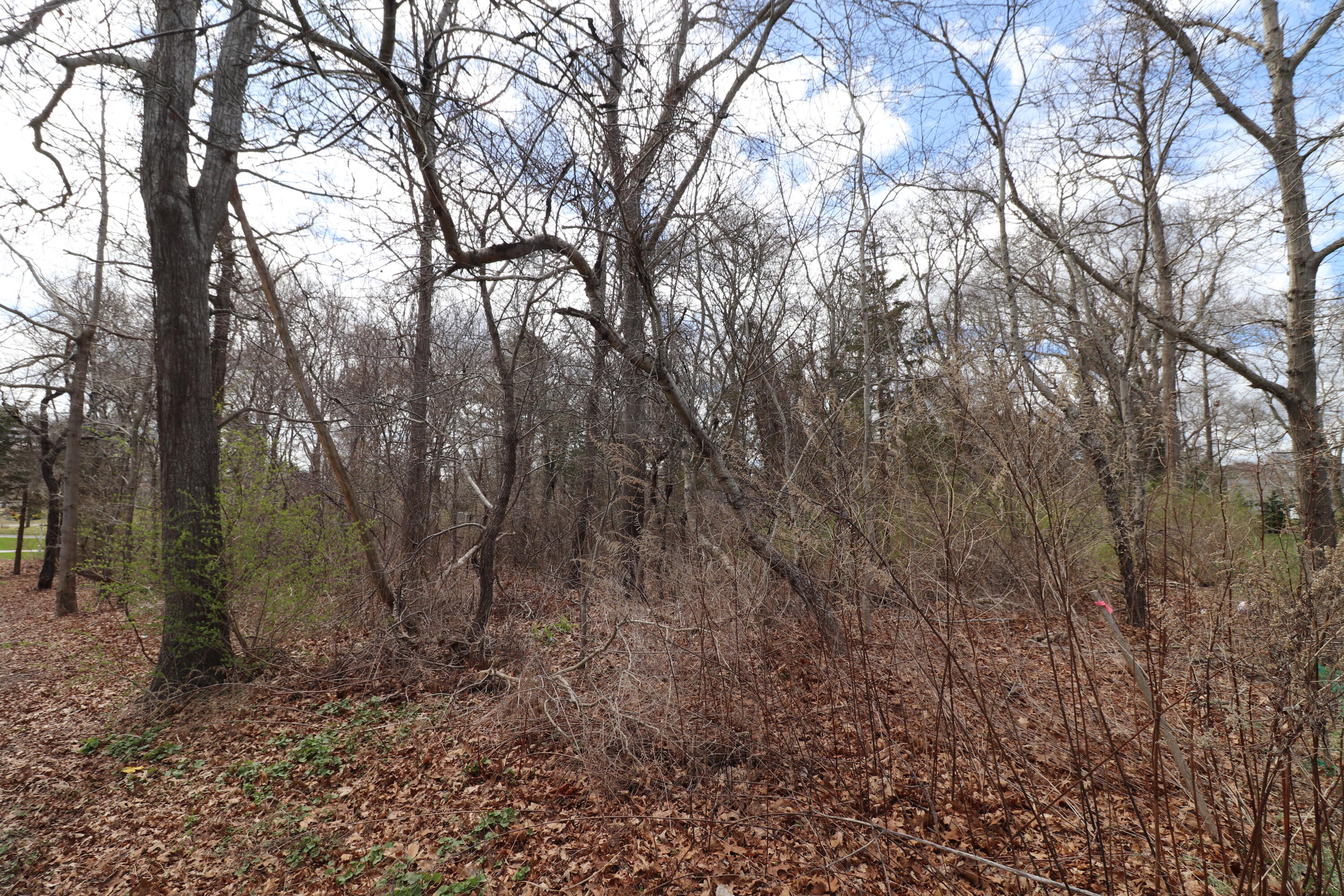 73 Pilgrim Road Dennis, MA 02638 - Photo 4 of 9 4