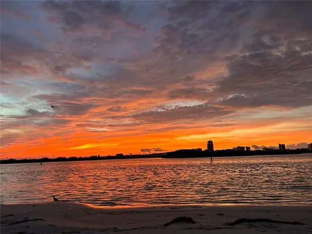 $3,800 | 895 South Gulfview Boulevard, Unit 203, Clearwater Beach, FL 33767