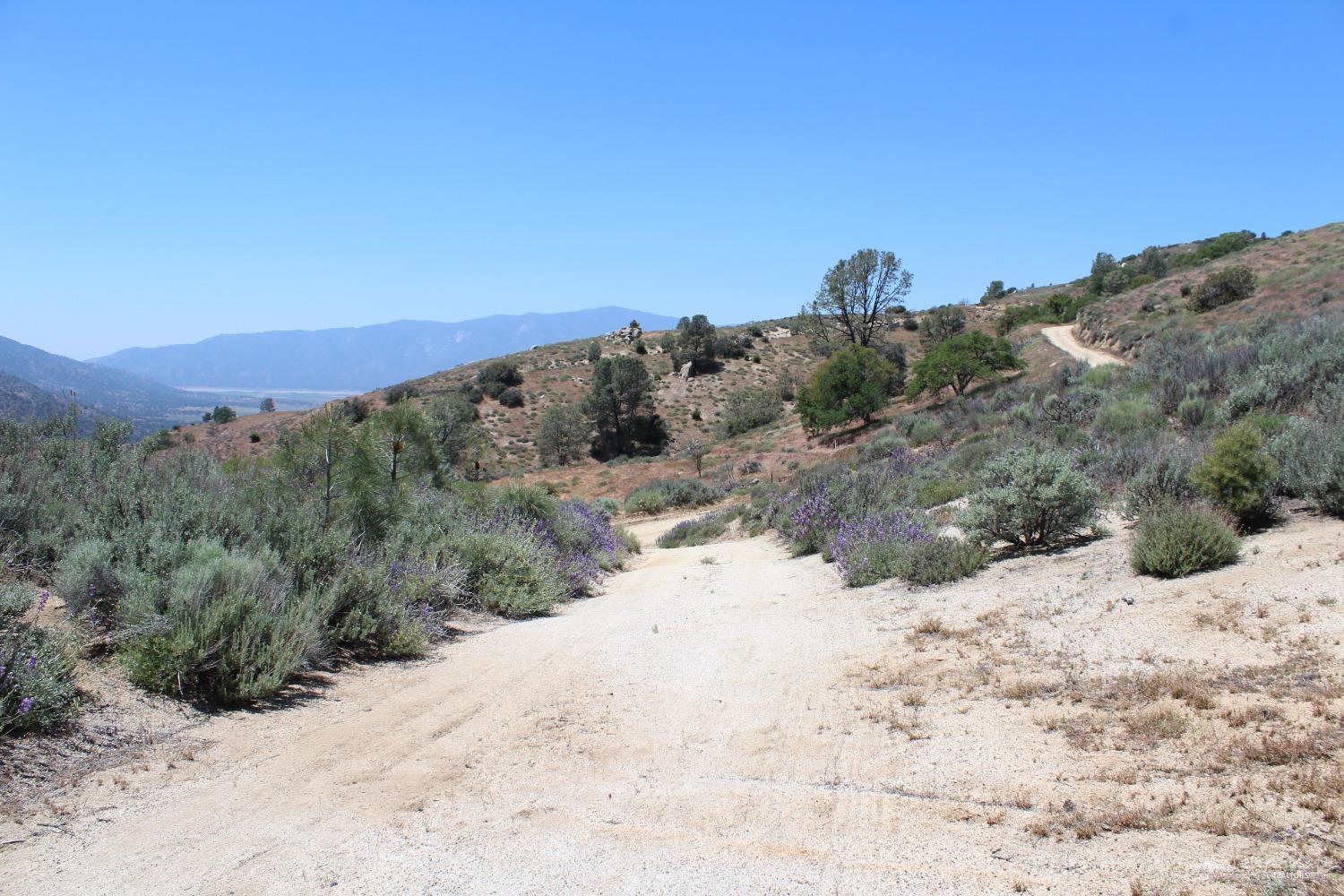 0 Piute Mountain Road Caliente, CA 93518 - Photo 35 of 35 Gallery Image 35