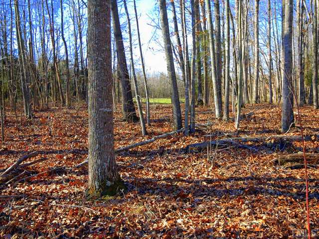 Brown Road Hurdle Mills, NC 27541 - Photo 1 of 4 Photo 1