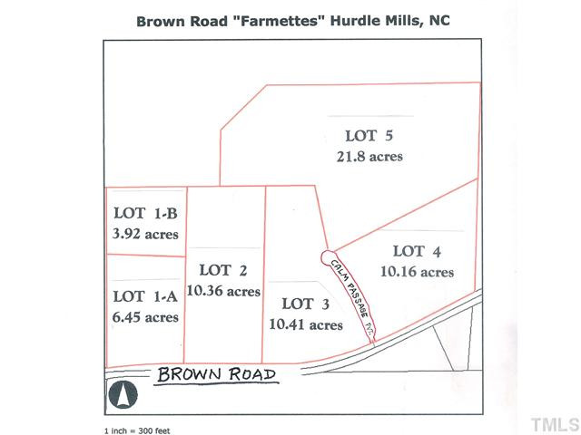 Brown Road Hurdle Mills, NC 27541 - Photo 4 of 4 Photo 4