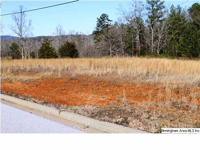 Mount Eagle Lane, Unit 2 Weaver, AL 36277 - Photo 10 of 26