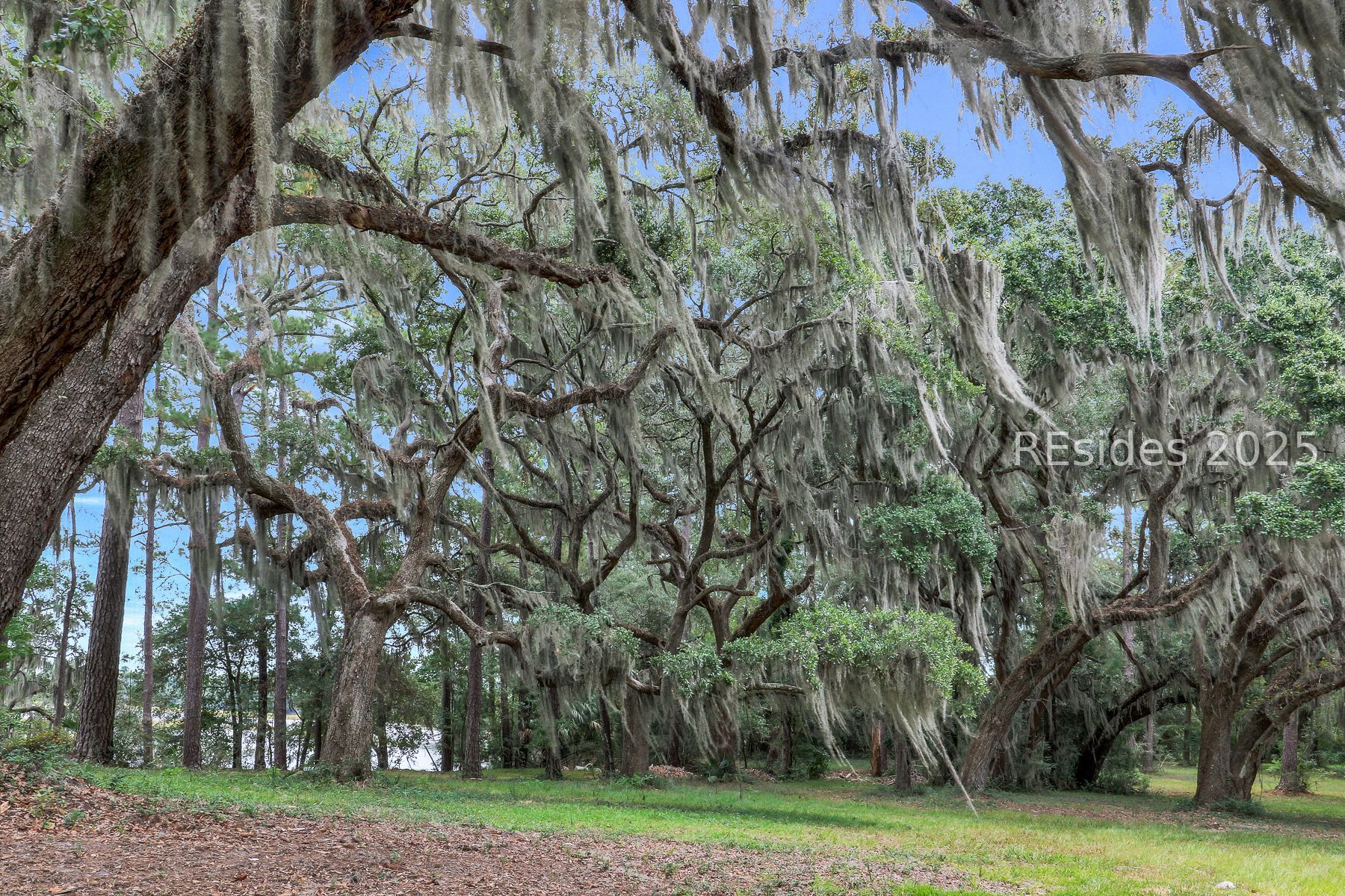 70 Helmlys Road Bluffton, SC 29909 - Photo 16 of 23