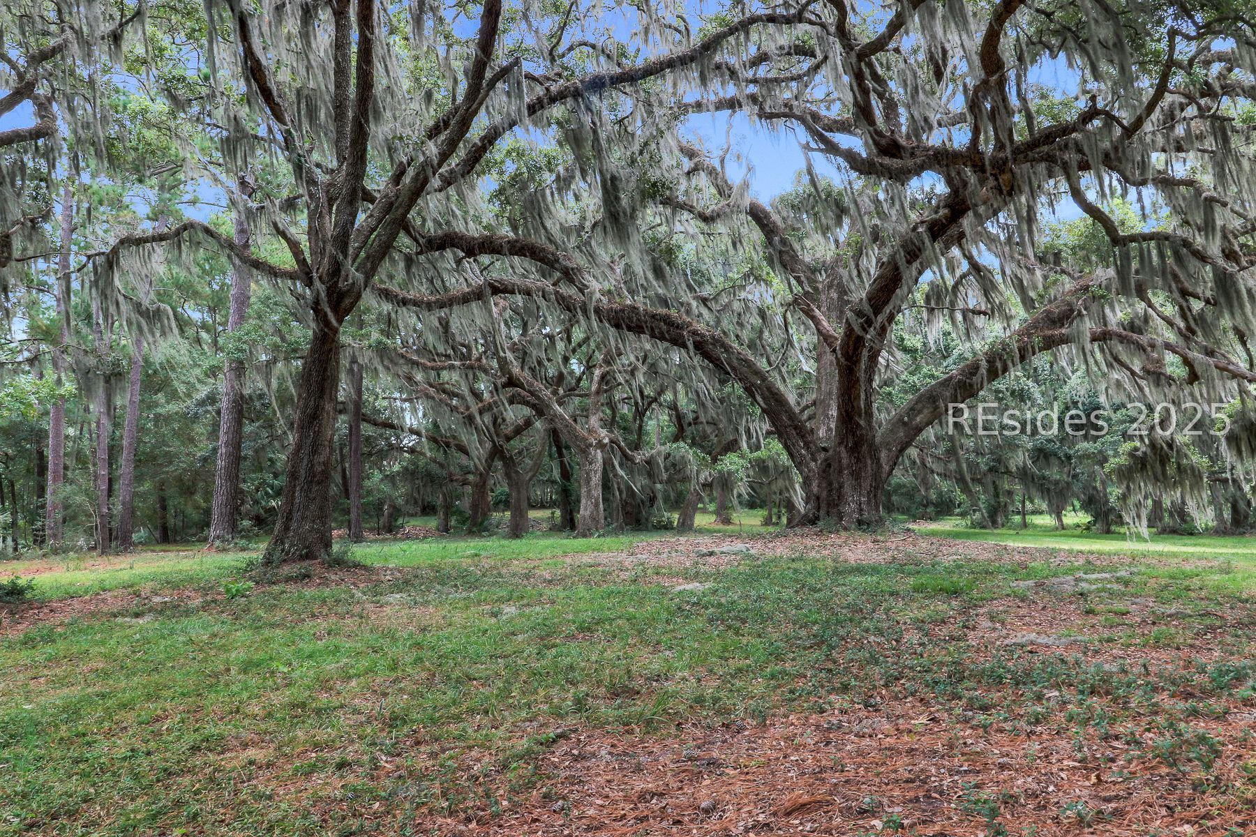70 Helmlys Road Bluffton, SC 29909 - Photo 4 of 23