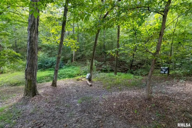 $175,000 | 14 Bushwack Cutoff Road, Golconda, IL 62938