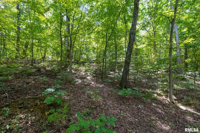 $175,000 | 14 Bushwack Cutoff Road, Golconda, IL 62938