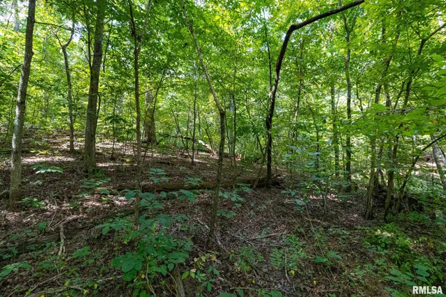 $175,000 | 14 Bushwack Cutoff Road, Golconda, IL 62938