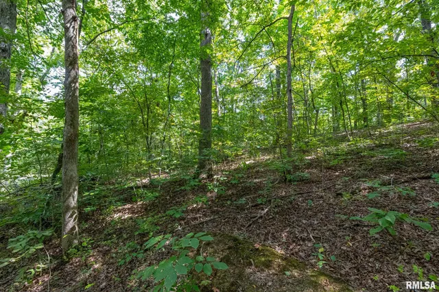 $175,000 | 14 Bushwack Cutoff Road, Golconda, IL 62938