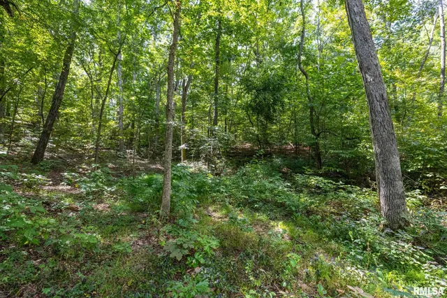 $175,000 | 14 Bushwack Cutoff Road, Golconda, IL 62938