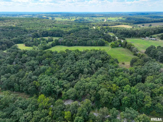 $175,000 | 14 Bushwack Cutoff Road, Golconda, IL 62938