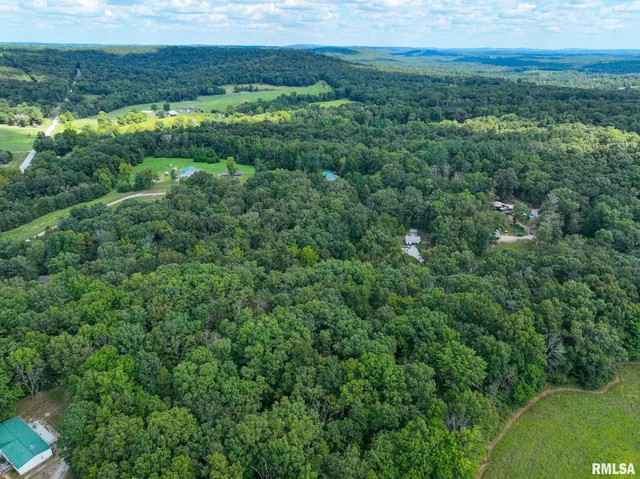 $175,000 | 14 Bushwack Cutoff Road, Golconda, IL 62938