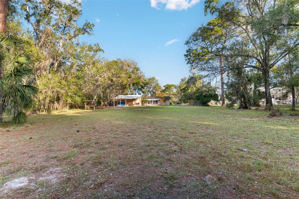 10620 Fawn Drive New Port Richey, FL 34654 - Photo 42 of 49 a view of a yard with trees