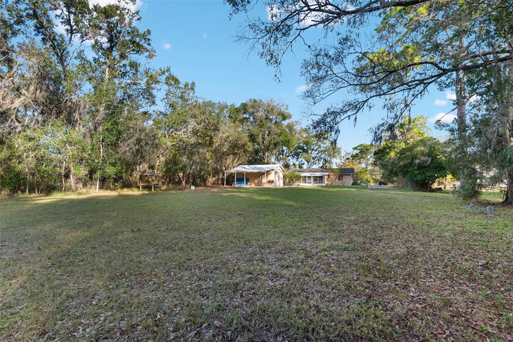 10620 Fawn Drive New Port Richey, FL 34654 - Photo 10 of 49 a front view of a house with a yard