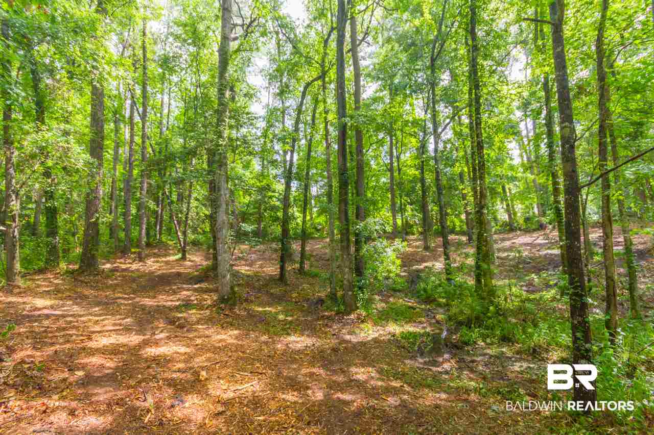 2 Military Bridge Drive Daphne, AL 36527 - Photo 3 of 12