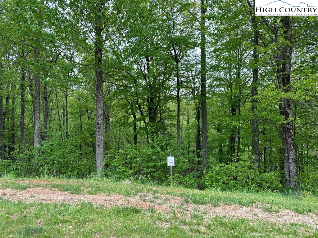 Lot 11-12 Sunset Ridge Drive Boone, NC 28607 - Photo 14 of 28