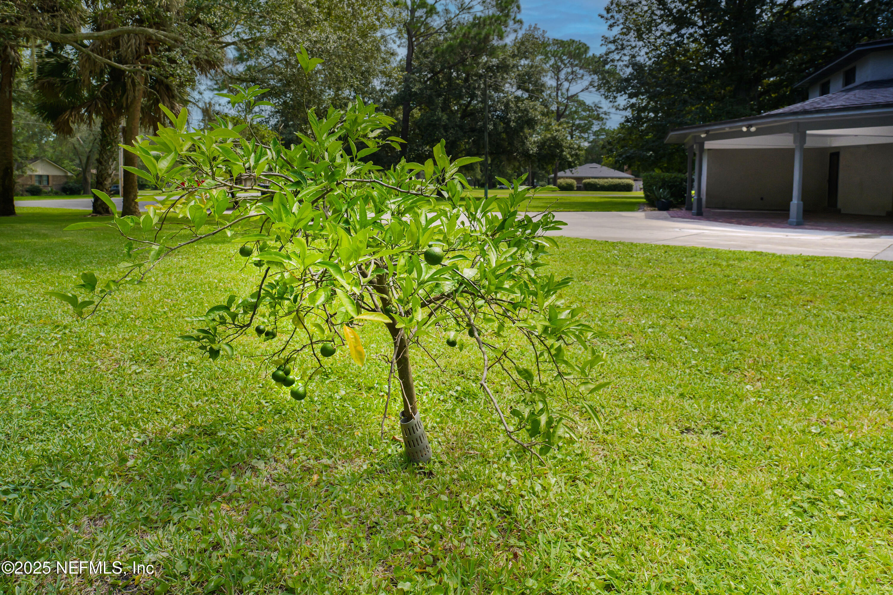 35018 Nancy Road Callahan, FL 32011 - Photo 30 of 32 IMG_0850